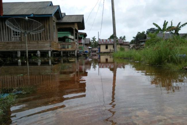 Air Laut Pasang Genangi Dusun Senempek di Lingga