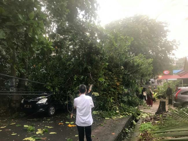 Silaturahmi Lebaran ke Rumah Sekda, Mobil Kepala BKD Bintan Tertimpa Pohon