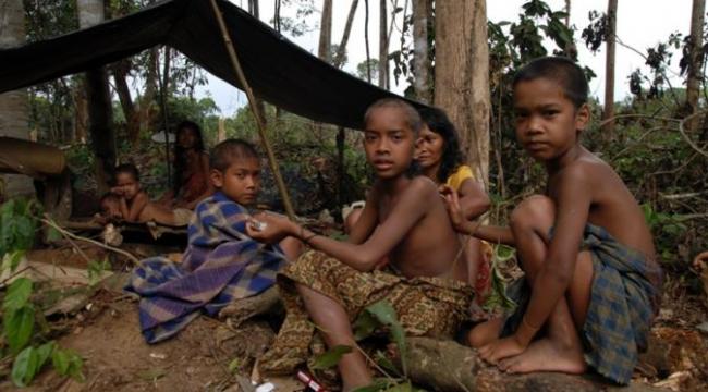 Anak Rimba Jambi; dari Animisme Masuk Islam Hidup Sejahtera