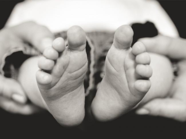 Bayi 8 Bulan Dibuang di Hutan Sei Temiang Diduga Dibunuh 