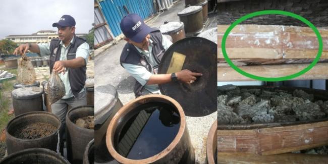 Joroknya Pabrik Kecap di Malaysia, Ada Bangkai Tikus dan Kotoran Burung