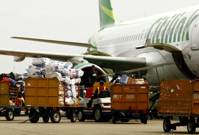 Bibit Lobster Ilegal Diselundupkan Melalui Bagasi Pesawat ke Batam