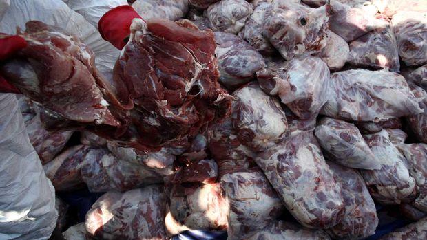 Petugas Sita Berton-ton Daging Celeng