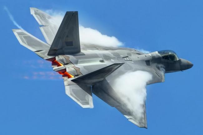 Pesawat Tercanggih AS F-22 Raptor Dilumpuhkan Lebah  