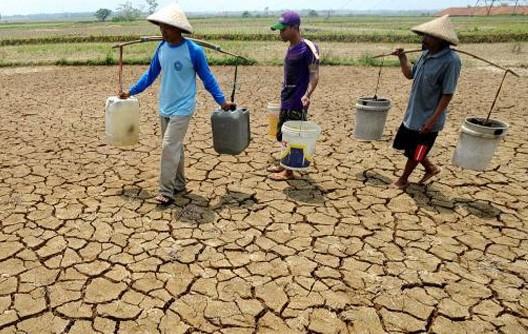 BMKG Prediksi Musim Kemarau 2020 Dimulai April, Puncaknya Agustus