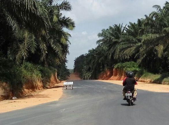 Jalan Lintas Timur Bintan Bikin Bingung Pengendara Motor