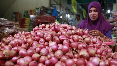 Harga Bawang Melambung Jelang Akhir Tahun