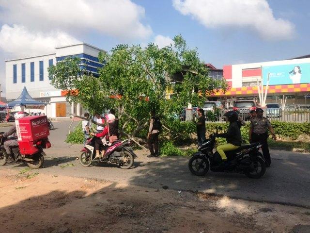 Pohon Tumbang di Depan Plaza Botania, Warga: Untung Jalanan Sepi