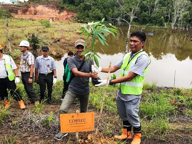 PLN Batam dan BKSDA Riau Tanam 500 Bibit Pohon di TWA Mukakuning