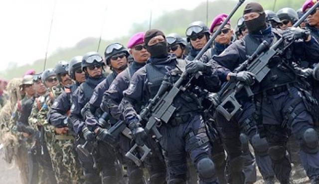Semakin Disegani, Ini Peringkat Kekuatan TNI di Dunia, Asia, dan Asia Tenggara  