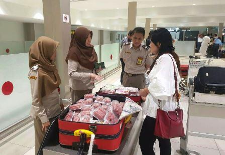 Kepri Waspadai Masuknya Virus Demam Babi Afrika
