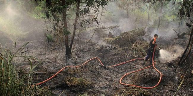 Ini Hukuman Bagi Individu dan Perusahaan Pembakar Lahan dan Hutan