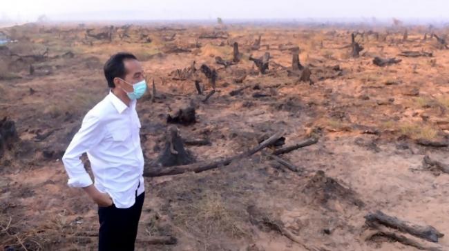 Jokowi Kunjungi Riau, Udara Mendadak Bersih
