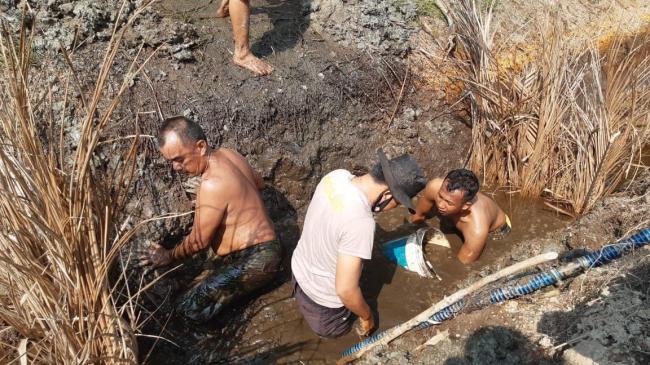 Tim Pemadam Terkendala Sumber Air Atasi Karhutla di Meranti
