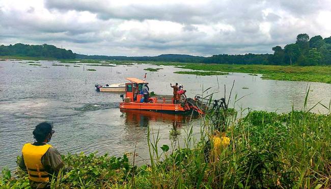 Babat 30 Hektare Eceng Gondok untuk Tingkatkan Kualitas Air Waduk