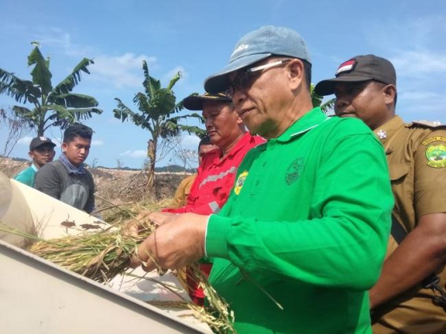 Kepri Defisit Beras, Bupati Lingga Minta Alokasi Sawah Baru ke Pusat