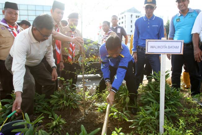 Rudi Canangkan Penanaman Sejuta Pohon Ketapang Untuk Penghijauan Batam