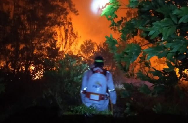 Karhutla di Bintan, 35 Hektare Lahan Ludes Terbakar