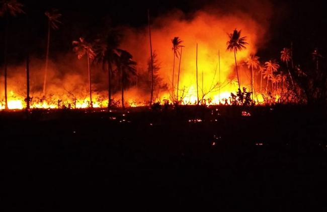 Ancaman Kebakaran Lahan di Bintan, BPBD Bagi Nomor Damkar