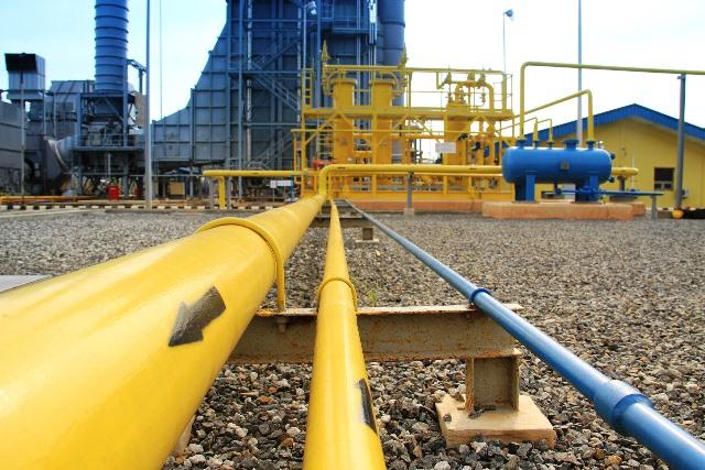 PLN Batam Harus Cari Alternatif Energi untuk Atasi Masalah Gas