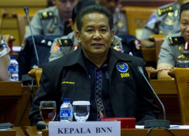 50 Orang Tewas per Hari karena Narkoba di Indonesia