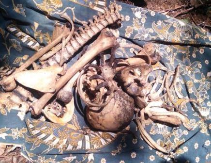 Hilang 4 Bulan, Warga Karimun Ditemukan Tinggal Tulang Belulang di Kebun Karet