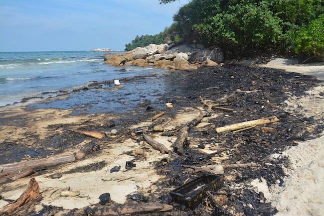 Pantai Lagoi Tercemar Limbah Minyak Hitam