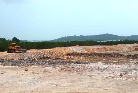 Reklamasi Tanjungpiayu Berada di dekat Budidaya Mangrove Ibu Negara