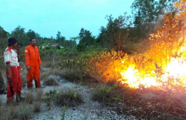 Lebih 11 Titik Lahan Hutan Terbakar di Lingga, Kapolres Selidiki Penyebabnya