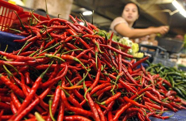 Harga Cabai Makin Pedas Jelang Ramadan, Ini Penyebabnya