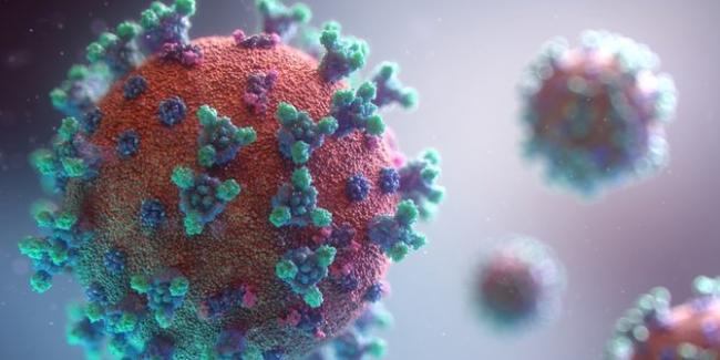  Ilmuwan Prediksi Pandemi Virus Corona Bisa Berlangsung Lebih Lama 
