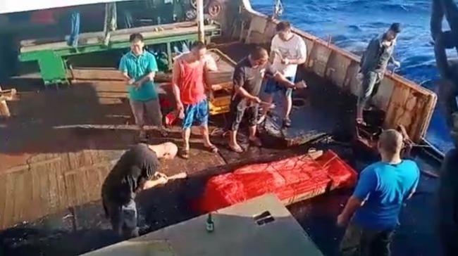 Media Korea Selatan Ungkap Perbudakan ABK WNI di Kapal Ikan China