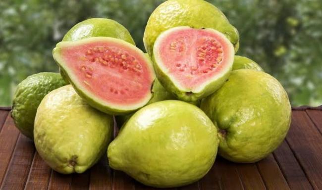 Manfaat Kesehatan Jambu Biji, Bisa Turunkan Tekanan Darah
