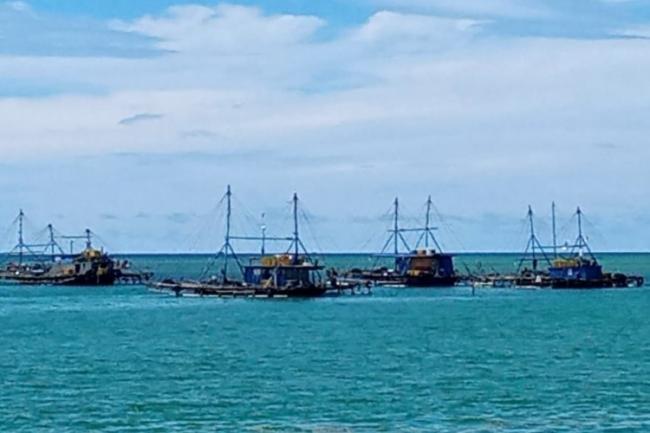 Nelayan Desa Pengadah di Natuna Resah