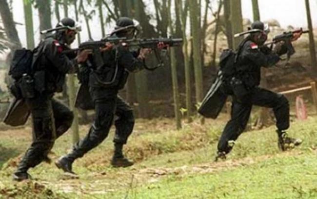Kontak Tembak dengan TNI, 1 Anggota KKB di Papua Tewas