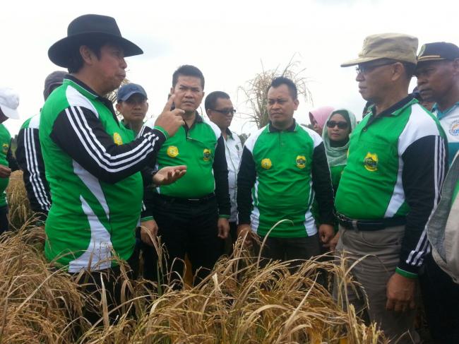 Alias Wello Tak Patah Semangat Berjuang Majukan Pertanian Lingga