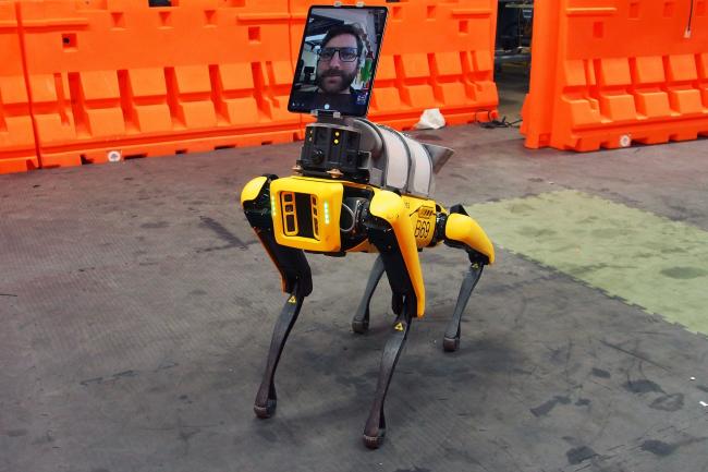Keren, Robot Anjing Ini jadi Perantara Tim Medis dan Pasien Covid-19
