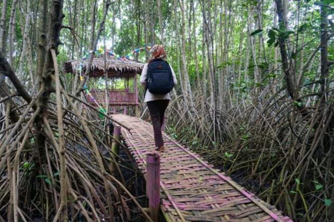 Desa Busung di Bintan Kembangkan Wisata Mangrove