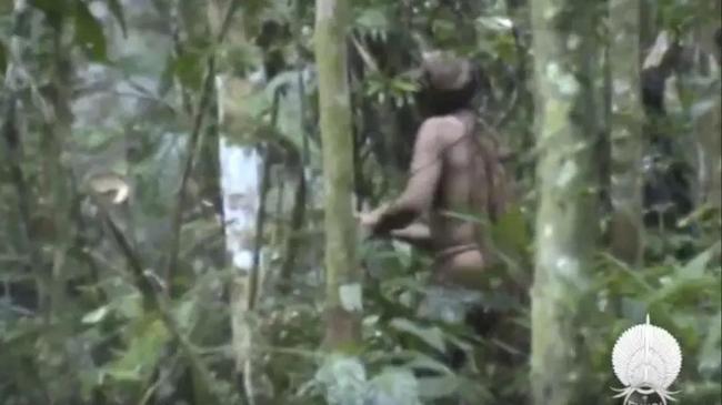 Seorang Pria Jomblo Misterius Hidup Bertahun-tahun di Hutan Amazon