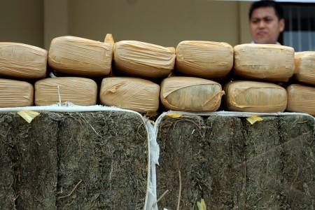 Polresta Medan Dikabarkan Gagalkan Peredaran Dua Ton Ganja