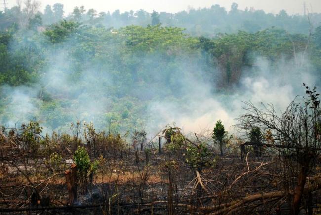 557 Titik Api Masih Membara di Sumatera