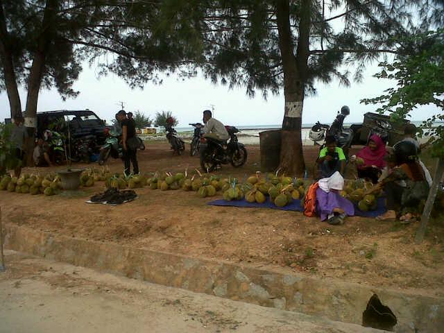 Petani Banting Harga, Waktunya Berburu Durian di Natuna
