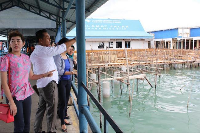 Pelindo Batalkan Tarif Baru Pass Pelabuhan Domestik Sri Bintan Pura