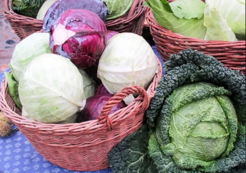 Benarkah Konsumsi Sayur Kol Bikin Perut Kembung?