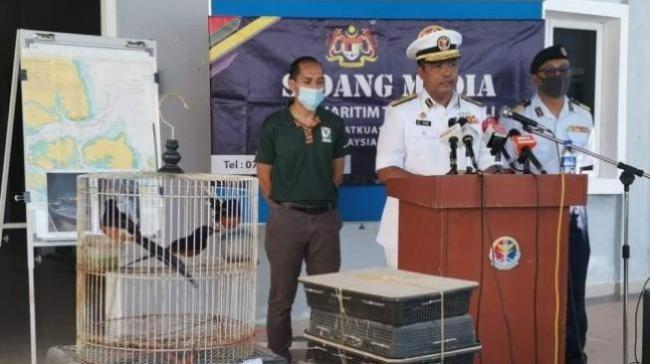 KJRI Johor Pastikan Hanya 1 WNI yang Tewas Tertembak saat Selundupkan Burung Murai