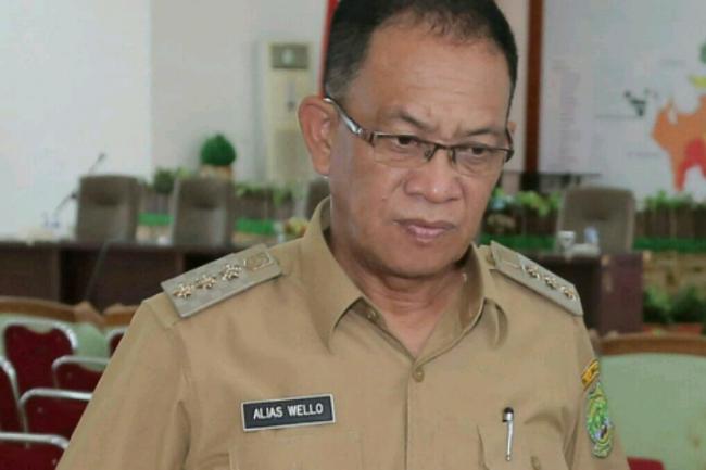 Alias Wello Sebut Pengelolaan Hutan Tak Haram