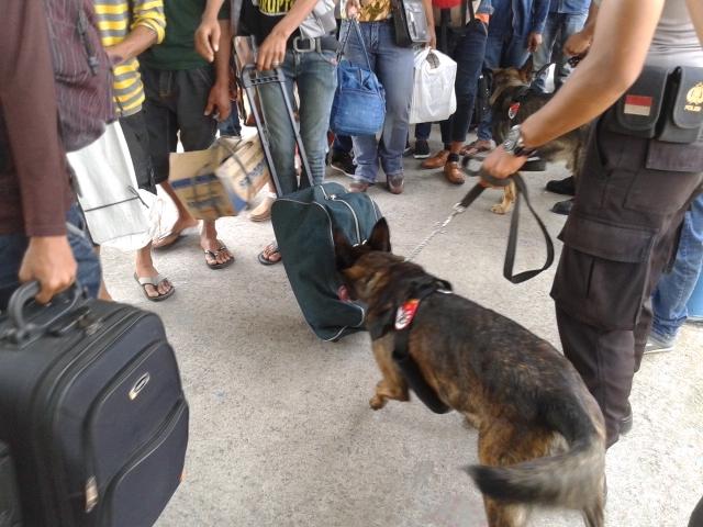 Suhu Politik Makin Memanas, Polisi Akan Terjunkan Anjing Pelacak saat Pemungutan Suara