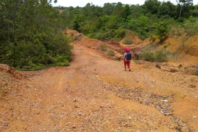 Ini 6 Akses Jalan Darat di Lingga yang Sangat Memprihatinkan