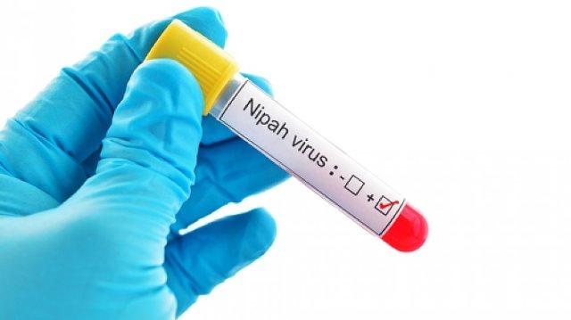 Riau Islands Is Now on Alert to the Nipah Virus From Malaysia