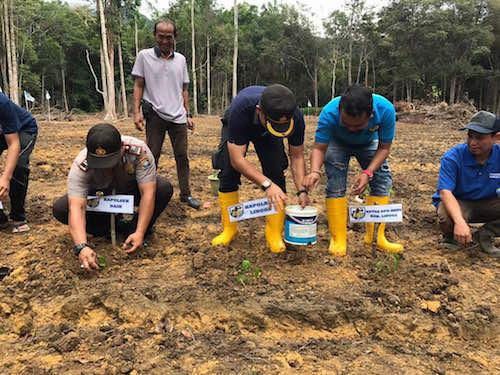 Kapolres Lingga Jadi "Petani"Cabai 